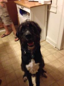 10463006_1434671596806762_3651391924867017035_n